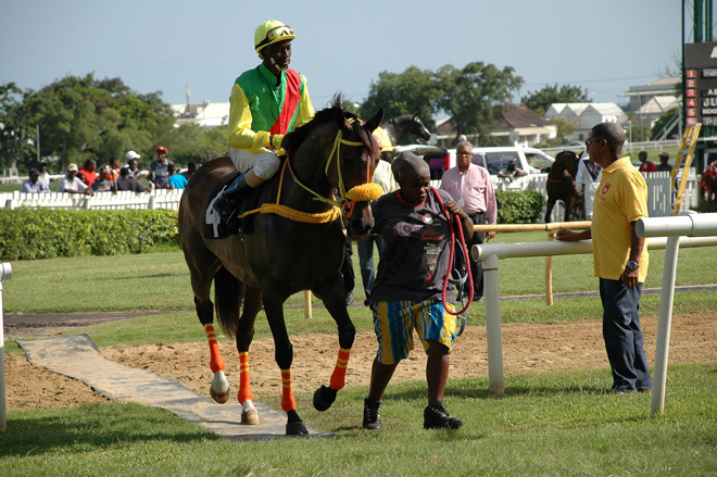 Barbados hmatka