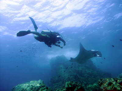 Sukellus, Koh Phi Phi Sukellus, Koh Phi Phi