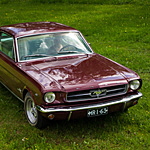 Hautoksi Ford Mustang 1965