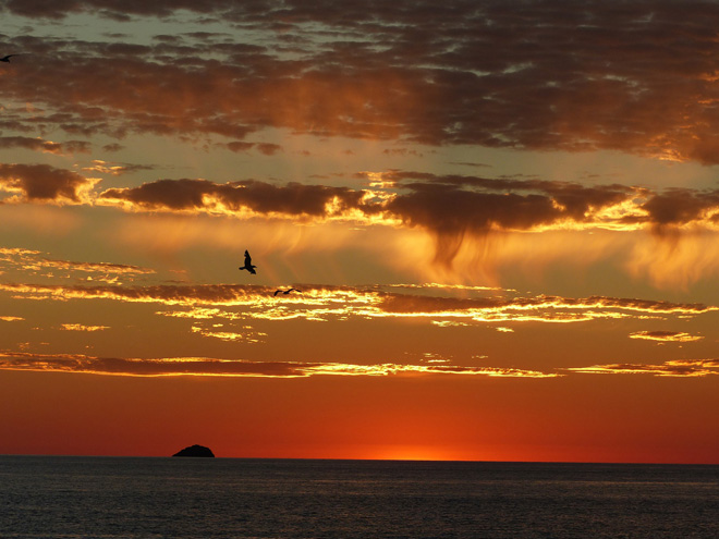 Ibiza Ibiza