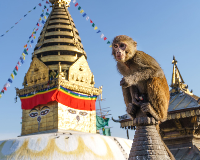 Nepal hmatka, Katmandu