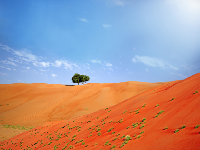 Wahiba Sands Oman häämatka Wahiba Sands Oman häämatka