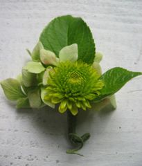 Fun Green Boutonniere.jpg