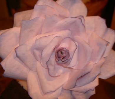 gallery_14355_128_26218.jpg
