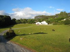 Muckross Riding Stable