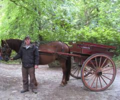 Jaunting car