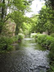 Killarney National Park