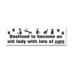 catlady.jpg