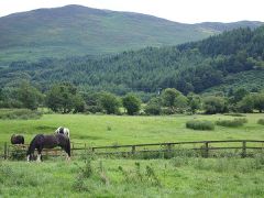 Glenmalure, hevosten paratiisi