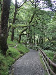 Glendalough 3