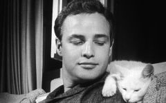 marlon brando image 159495 1920x1200